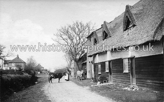 The Village, High Layer, Essex. c.1906